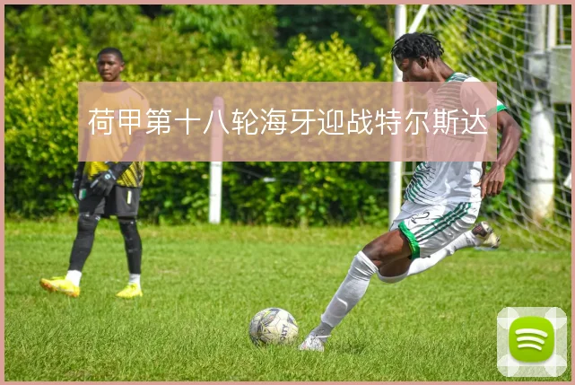 荷甲第十八轮海牙迎战特尔斯达
