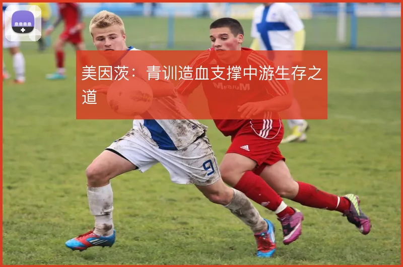 美因茨:青训造血支撑中游生存之道