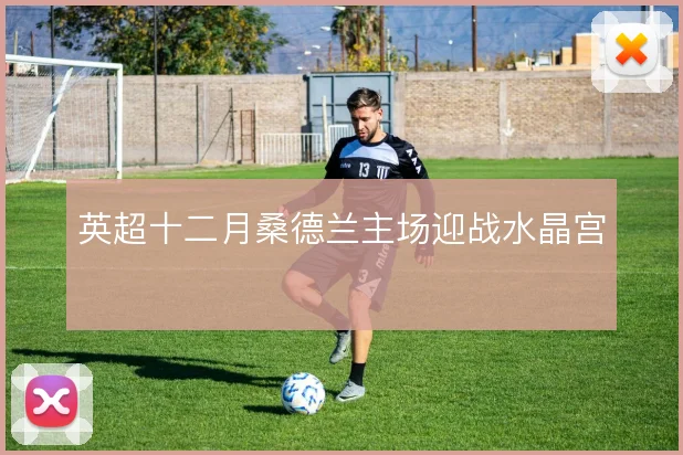 英超十二月桑德兰主场迎战水晶宫