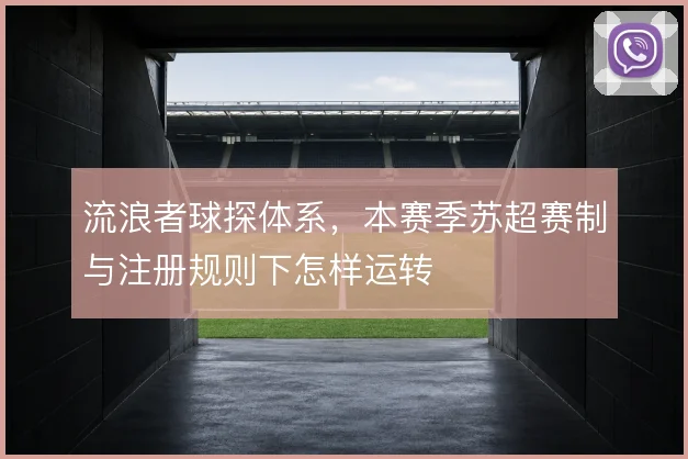 流浪者球探体系,本赛季苏超赛制与注册规则下怎样运转
